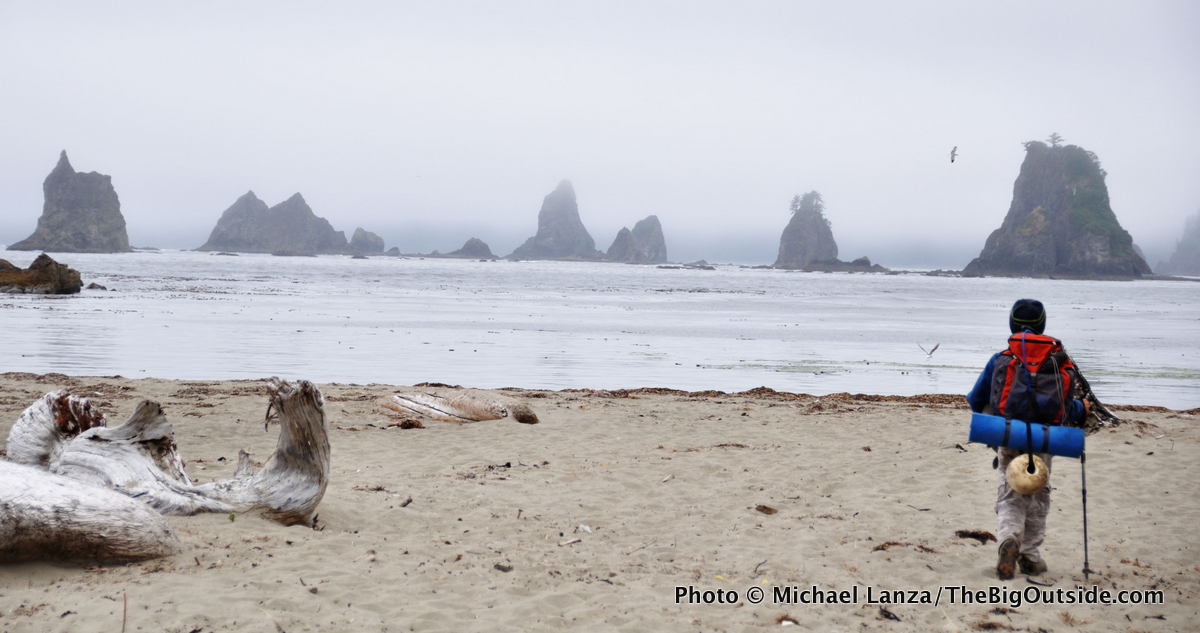 A young boy backpacking the wilderness coast of Olympic National Park.