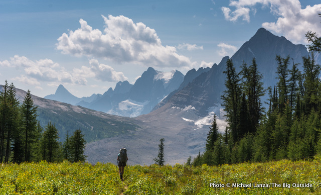 Rockwall Trail, Kootenay National Park. Rockwall Trail, Kootenay National Park.