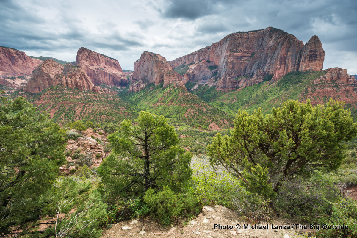 The Kolob Canyons Viewpoint in Zion National Park.