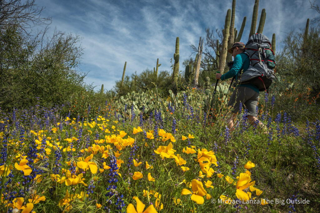 A backpacker hiking the Arizona Trail's Passage 16 in the Gila River Canyon. A backpacker hiking the Arizona Trail's Passage 16 in the Gila River Canyon.