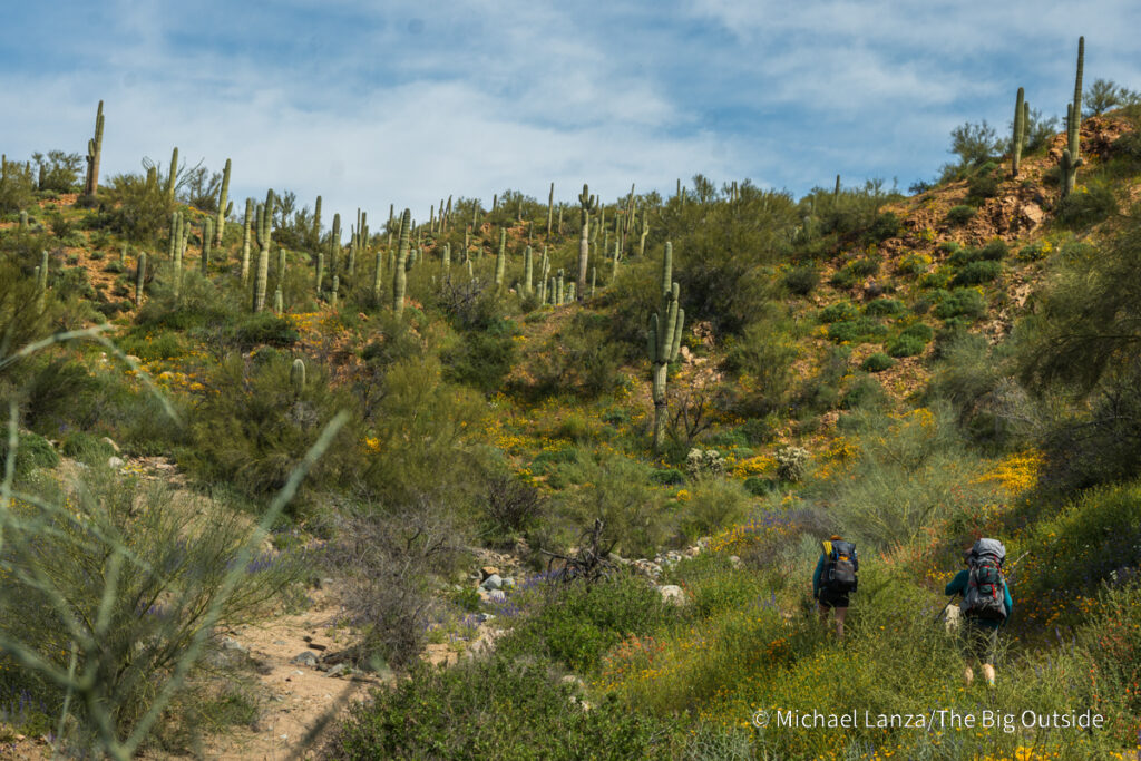 Backpackers hiking the Arizona Trail's Passage 16 in the Gila River Canyon. Backpackers hiking the Arizona Trail's Passage 16 in the Gila River Canyon.